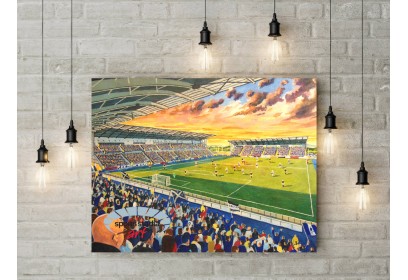 Falkirk FC Falkirk Stadium Wall Art Canvas